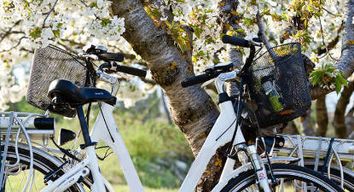 Location de Vélos Electrique à Bonnieux