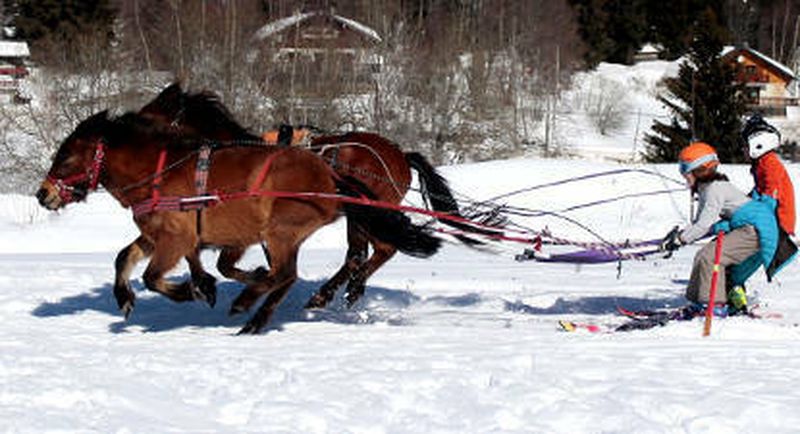 Ski-joëring près de Chambéry