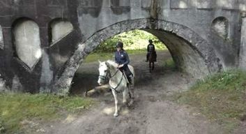 Stage d'équitation près de Soisy sur école