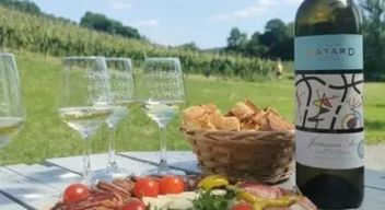 Atelier accord mets et vins à Monein dans un domaine viticole près de Pau