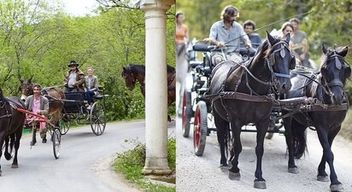 Balade en calèche à Cabrerets près de Cahors