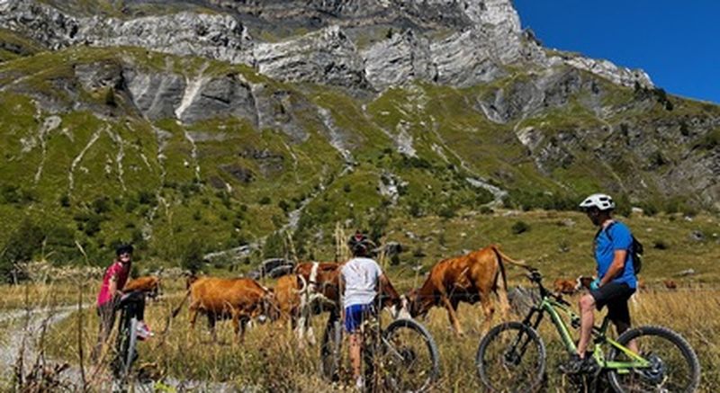 Randonnée VTT électrique dégustation près de Chamonix