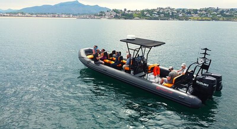 Balade escapade en bateau depuis le port de Saint-Jean-de-Luz vers Fontarabie