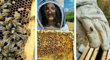 Atelier découverte de l'apiculture à Vendenheim à proximité de Strasbourg