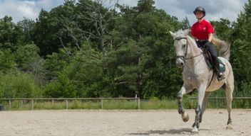 Cours particulier d'équitation à Maisons-Laffitte