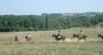 Balade à cheval dans le vignoble Gaillacois