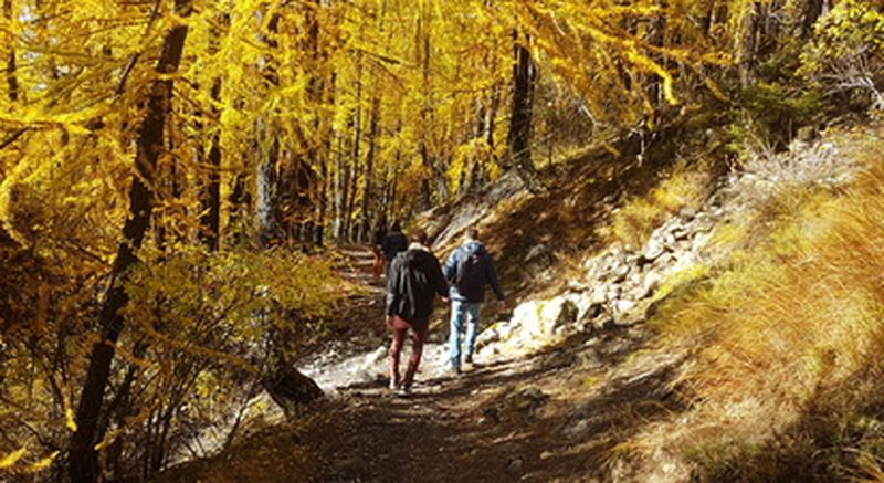 Randonnée sur le thème de l'homme et le loup dans le Mercantour