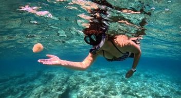 Balade en bateau et snorkeling à Bastia