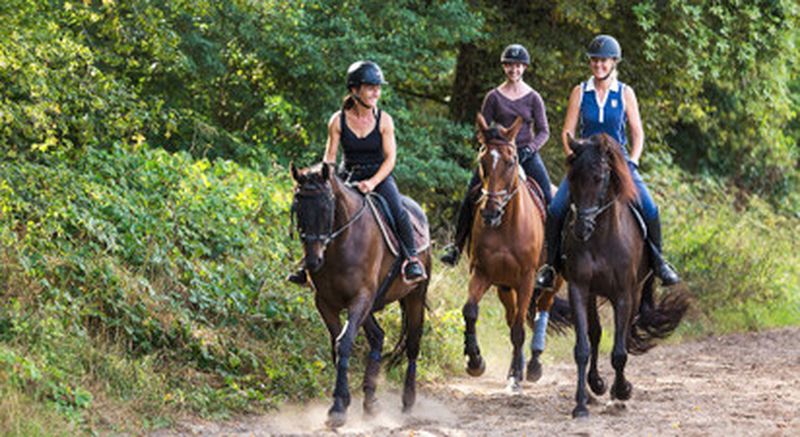 Balade à cheval dans le parc de Maisons-Laffitte et en forêt de Saint-Germain