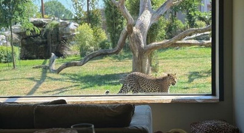 Nuit insolite dans un lodge d'observation et visite d'un parc animalier près d'Orléans