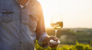 Dégustation de vins au cœur d'un domaine viticole près de Sancerre