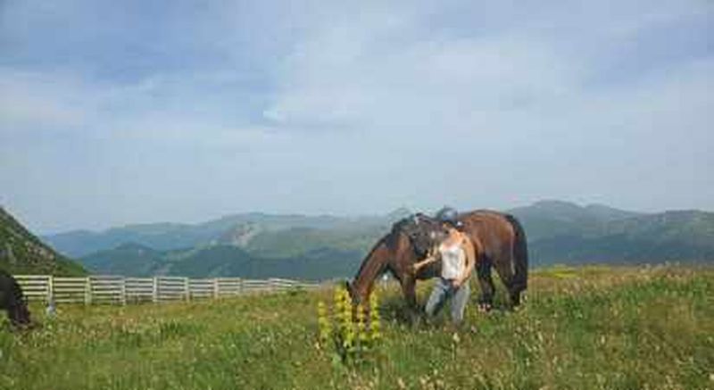 Séjour Randonnée équestre dans les Monts du Cantal