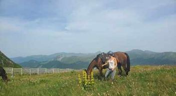 Séjour Randonnée équestre dans les Monts du Cantal