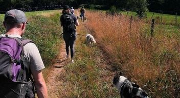 Cani Rando au cœur du Parc naturel régional des Volcans d'Auvergne