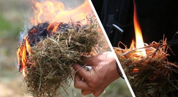 Atelier d'initiation aux savoir-faire primitifs près de Saint-Germain-en-Laye