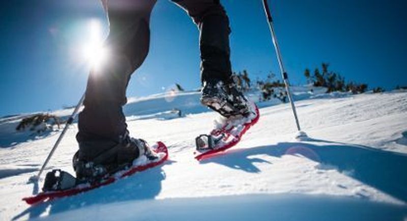 Claire de lune en raquettes et tartiflette dans les Pyrénées