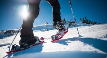 Claire de lune en raquettes et tartiflette dans les Pyrénées