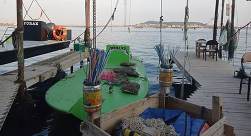 Dégustation d'huîtres et Visite d'une exploitation ostréicole à Bouzigues près de Montpellier