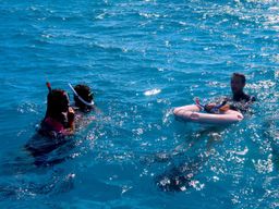 Sortie guidée de snorkeling à Tikehau