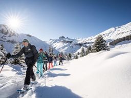 Excursion en raquettes près d'Interlaken