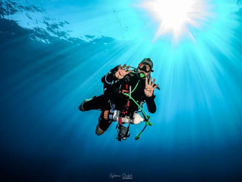 Plongée exploration à Saint-Gilles, La Réunion