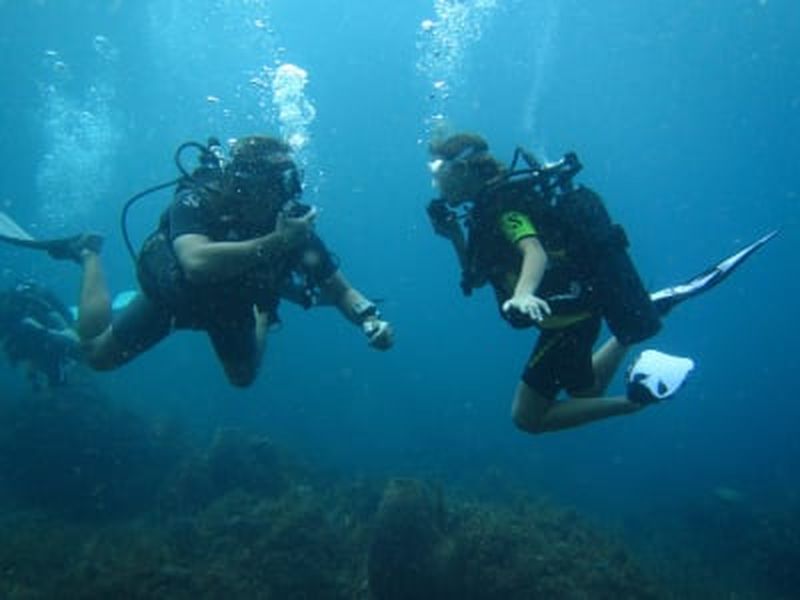 Baptême de plongée à l'Anse à l'Âne, Martinique