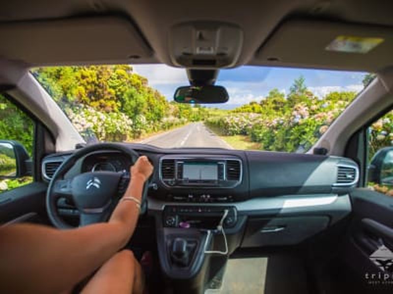 Excursion d'une journée en van autour du mont Pico à Ilha do Pico, Açores