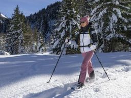 Location de raquettes à neige à Peyragudes - Au Pied Des Pistes, Départ Télésiège Du Privilège