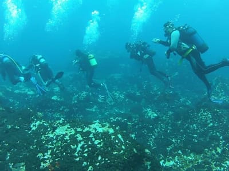 Journée complète de plongée privée sur l'île de Samothraki