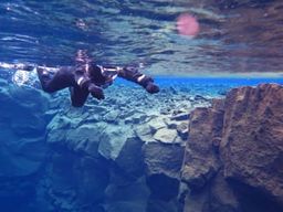 Excursion de snorkeling dans la faille de Silfra depuis Reykjavík