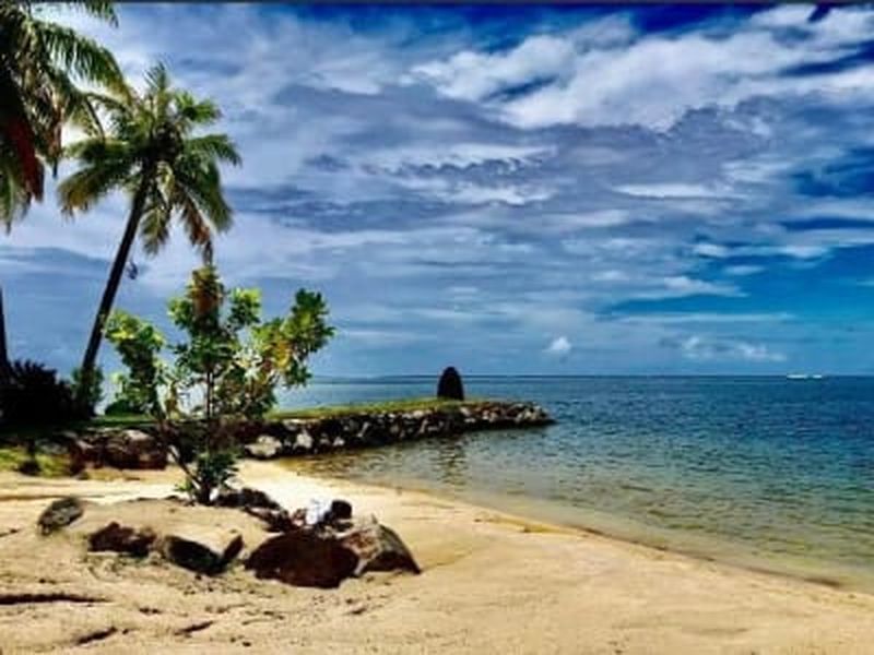 Visite guidée privée de Raiatea depuis Uturoa en mini van