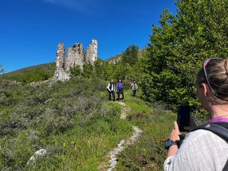 Randonnée en forêt de Vizzavona près de Corte