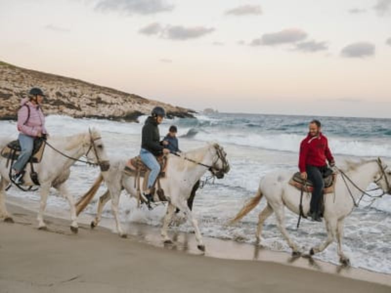 Aventure équestre au lever du soleil depuis la plage de Krios à Paros