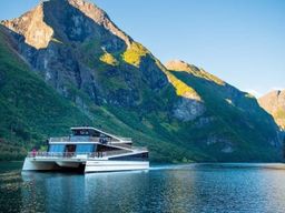 Visite guidée de Nærøyfjord, Flåm et Stegastein au départ de Bergen