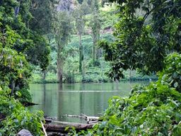 Excursion guidée en van dans le Cirque de Salazie, La Réunion