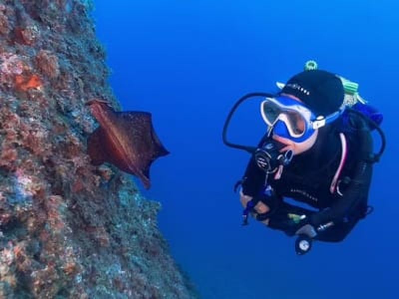Initiation à la plongée sous-marine à Calella de Palafrugell, Costa Brava