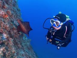 Initiation à la plongée sous-marine à Calella de Palafrugell, Costa Brava