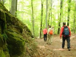 Randonnée guidée dans le parc naturel de Medvednica à Zagreb
