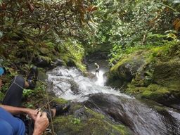 Canyon de Vaipurau dans la vallée de Papenoo, Tahiti