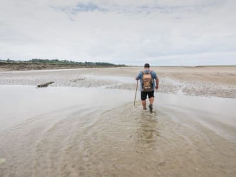 Randonnée guidée avec observation des oiseaux et phoques dans la Baie de Somme