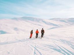 Initiation au ski de randonnée à Björkliden près d'Abisko