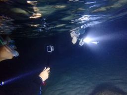 Excursion nocturne de snorkeling à Lloret de Mar depuis la plage de Fenals