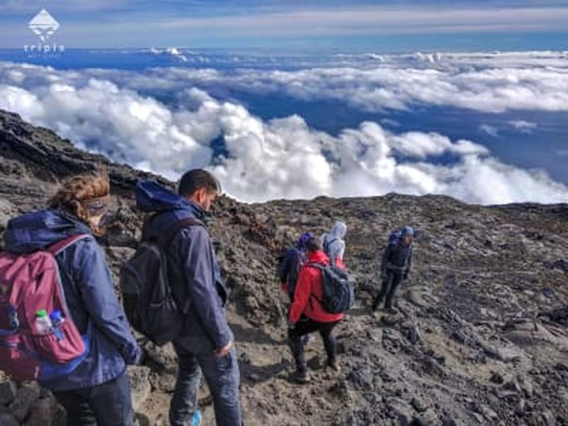 Excursion d'une journée pour escalader le mont Pico à Ilha de Pico, Açores