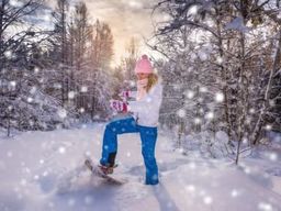 Excursion en raquettes dans le parc national d'Abisko au départ d'Abisko
