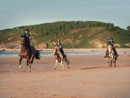 Balade à cheval sur la plage entre le Cap d'Erquy et le Cap Fréhel, Bretagne