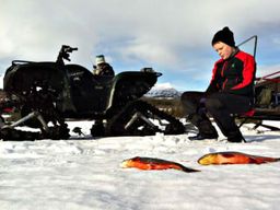Excursion de pêche sur glace sur un lac gelé au départ d'Åre