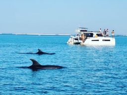 Balade en catamaran à l’Île de Ré depuis Saint-Martin-de-Ré
