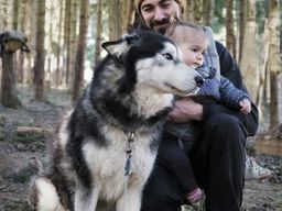 Découverte des chiens de traîneau à Avajan, près de Loudenvielle dans les Pyrénées