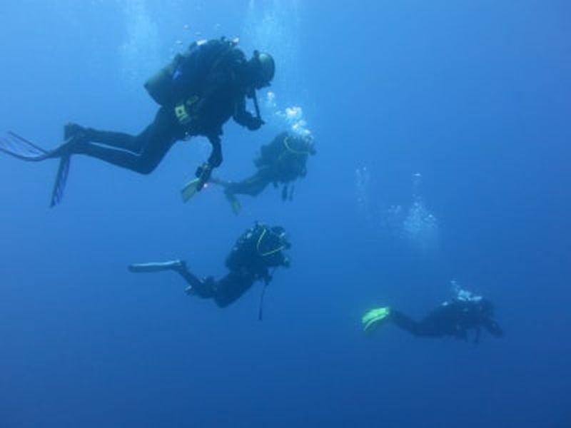 Découvrez la plongée sous-marine autour de Marettimo, îles Égades