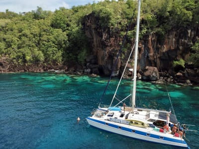 Excursion catamaran et plongée avec les tortues aux Anses-d'Arlet, Martinique